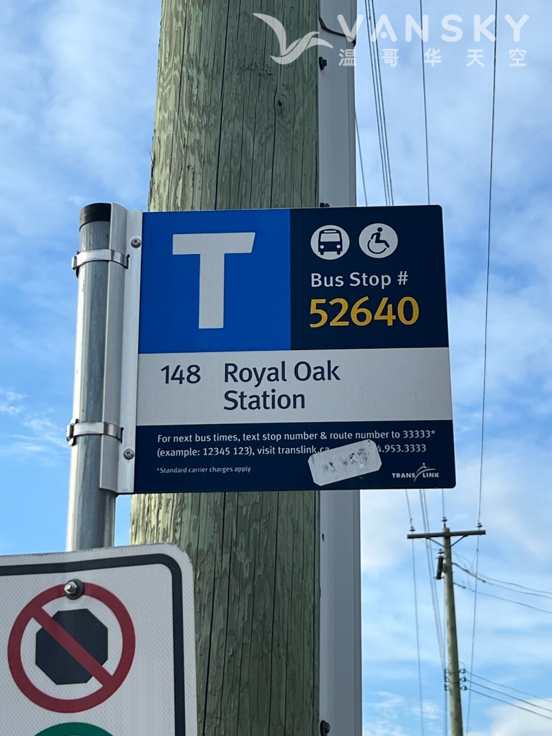 260529224246_Bus Stop.jpeg